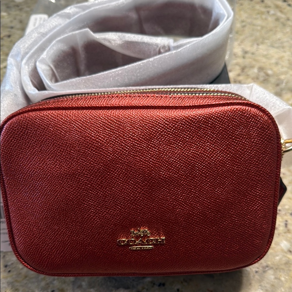 NWT Coach Clay Metallic Crossbody Bag